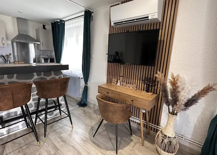 Le Domaine Du Parc 酒店 4*